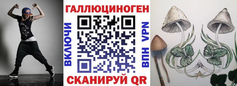 Псилоцибиновые грибы Psilocybe  Белорецк 