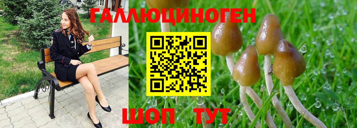 Псилоцибиновые грибы мицелий Белорецк